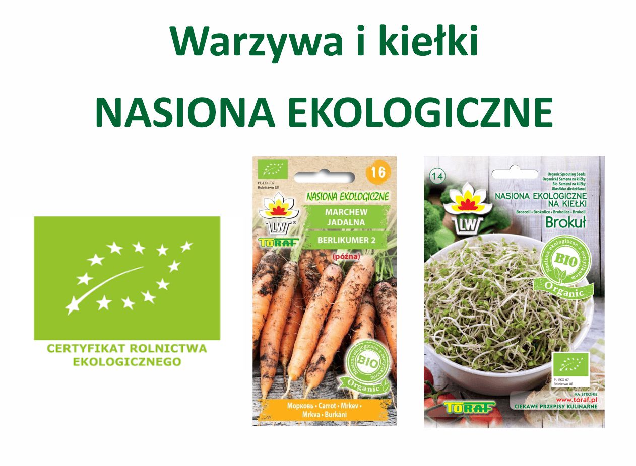 Banery_strona główna3.jpg